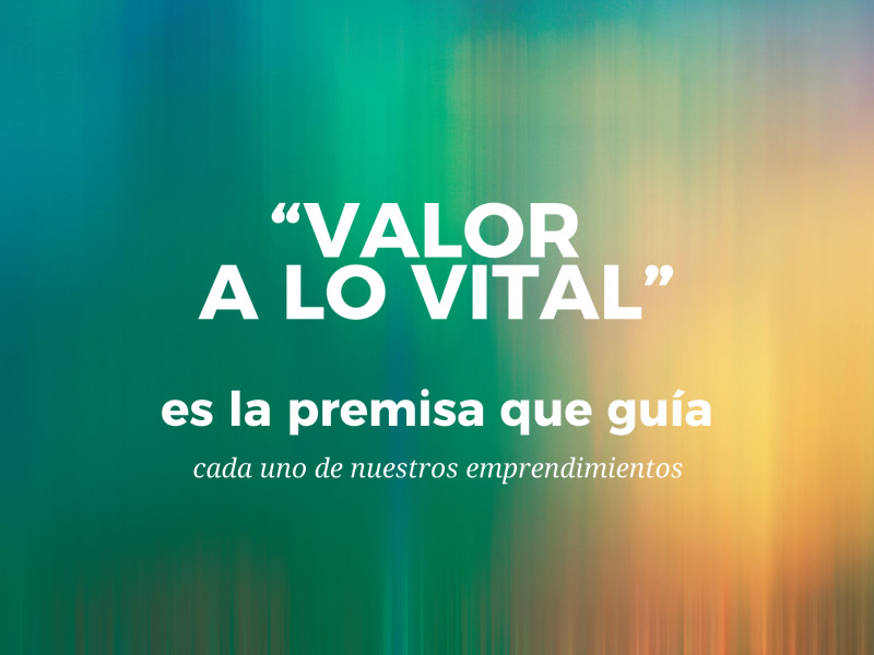 Vitxens